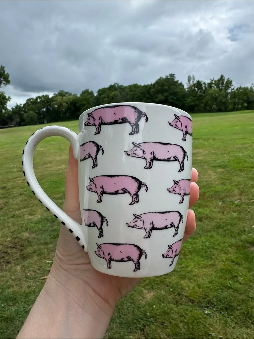 Pier 1 Imports Pig Mug 16 oz.